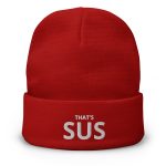 knit-beanie-red-front-66dd4c6e83141.jpg